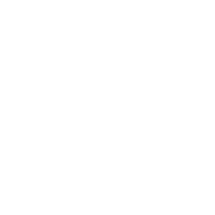 Vinilady Vinilady